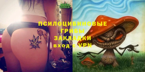 винт Баксан